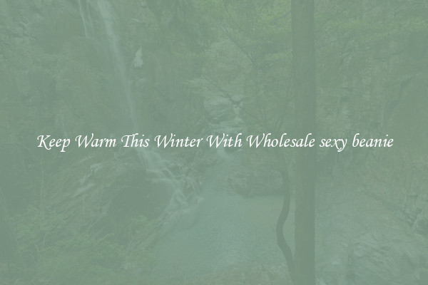 Keep Warm This Winter With Wholesale sexy beanie