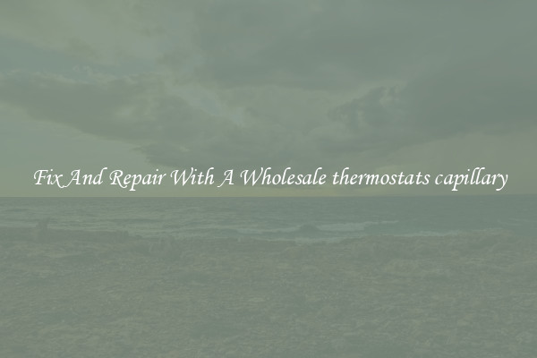 Fix And Repair With A Wholesale thermostats capillary