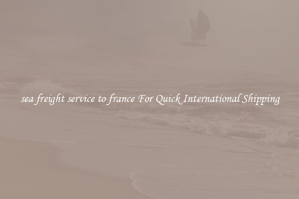 sea freight service to france For Quick International Shipping
