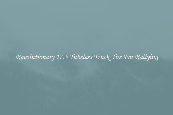 Revolutionary 17.5 Tubeless Truck Tire For Rallying
