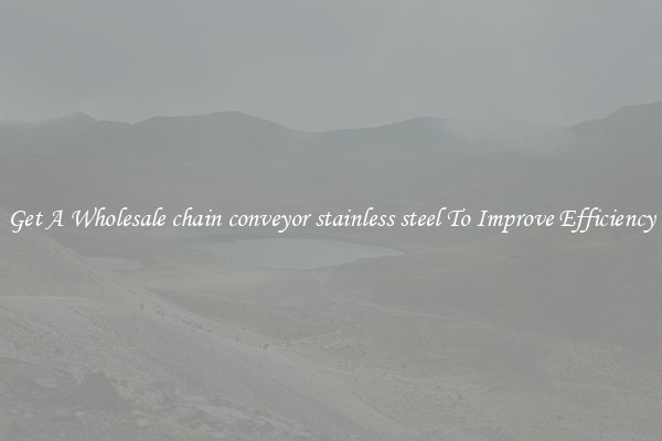 Get A Wholesale chain conveyor stainless steel To Improve Efficiency