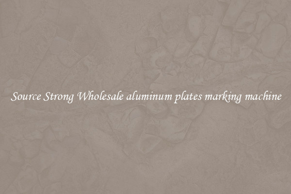 Source Strong Wholesale aluminum plates marking machine