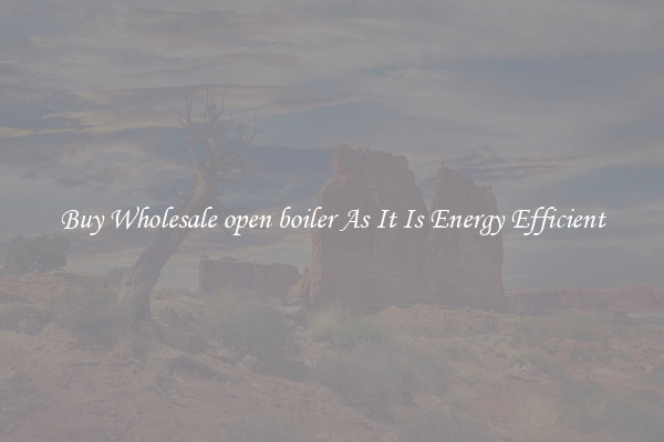 Buy Wholesale open boiler As It Is Energy Efficient