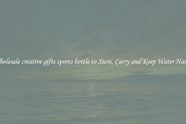 Wholesale creative gifts sports bottle to Store, Carry and Keep Water Handy