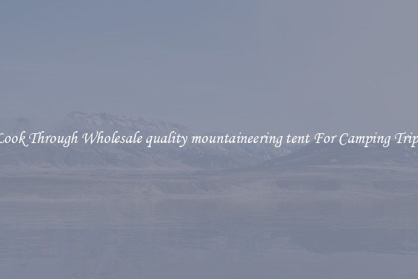 Look Through Wholesale quality mountaineering tent For Camping Trips