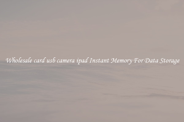 Wholesale card usb camera ipad Instant Memory For Data Storage