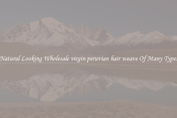 Natural Looking Wholesale virgin peruvian hair weave Of Many Types