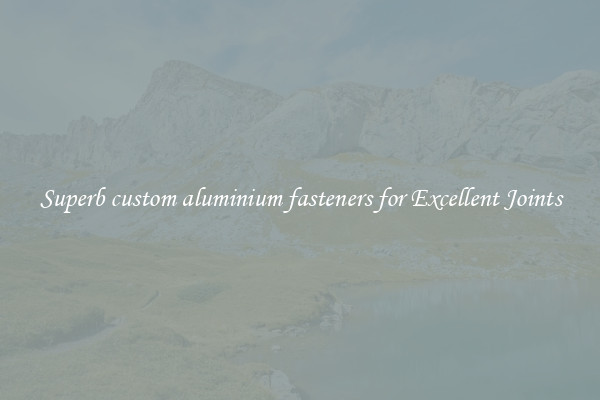 Superb custom aluminium fasteners for Excellent Joints