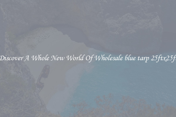 Discover A Whole New World Of Wholesale blue tarp 25ftx25ft