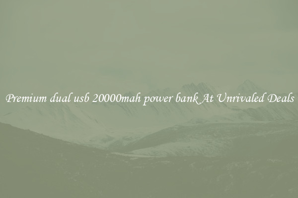 Premium dual usb 20000mah power bank At Unrivaled Deals