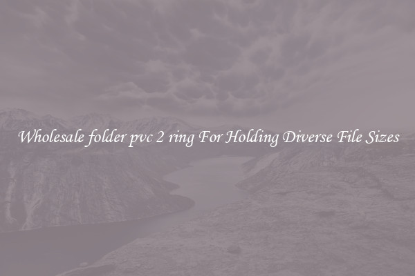 Wholesale folder pvc 2 ring For Holding Diverse File Sizes