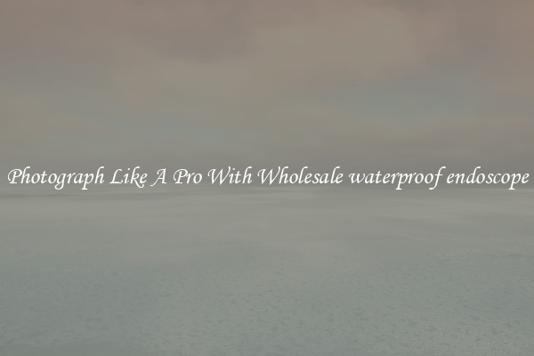 Photograph Like A Pro With Wholesale waterproof endoscope