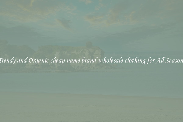 Trendy and Organic cheap name brand wholesale clothing for All Seasons