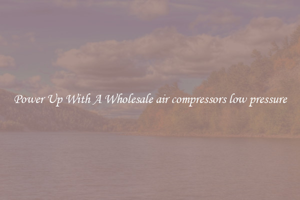 Power Up With A Wholesale air compressors low pressure