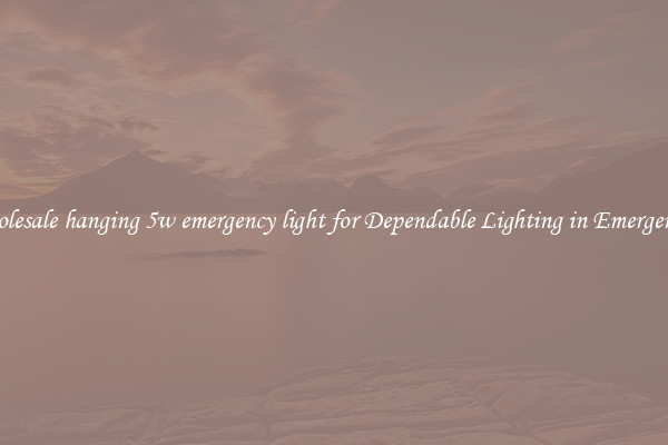 Wholesale hanging 5w emergency light for Dependable Lighting in Emergencies