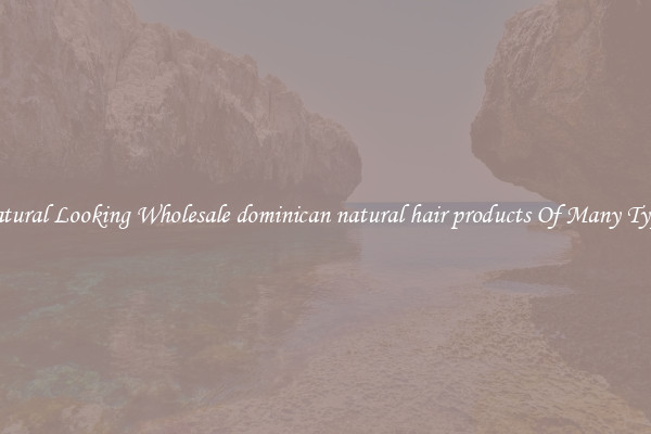 Natural Looking Wholesale dominican natural hair products Of Many Types
