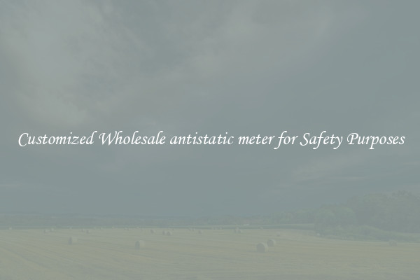 Customized Wholesale antistatic meter for Safety Purposes