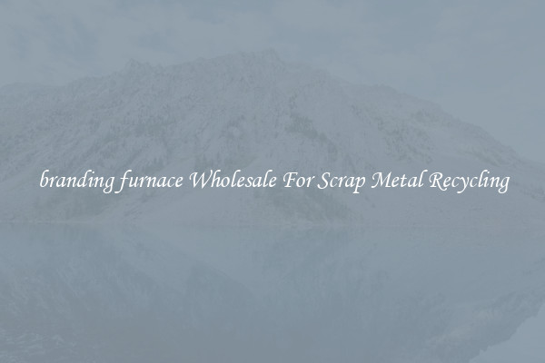 branding furnace Wholesale For Scrap Metal Recycling