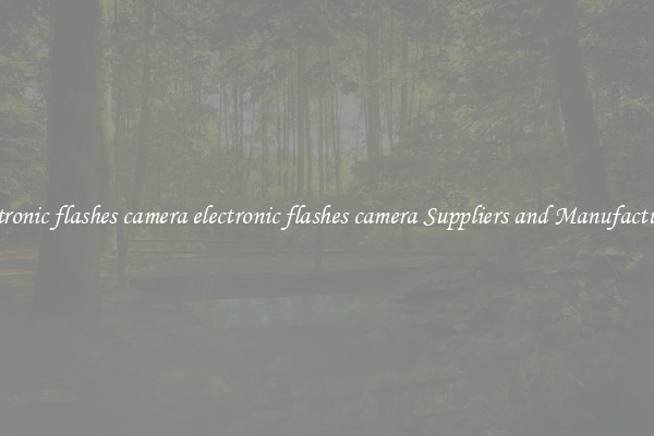 electronic flashes camera electronic flashes camera Suppliers and Manufacturers