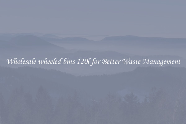 Wholesale wheeled bins 120l for Better Waste Management