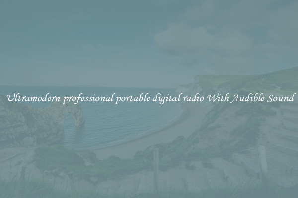 Ultramodern professional portable digital radio With Audible Sound