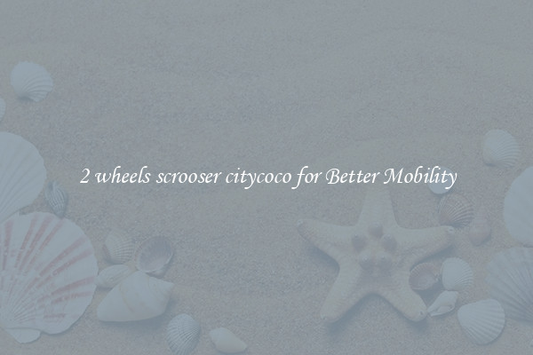 2 wheels scrooser citycoco for Better Mobility