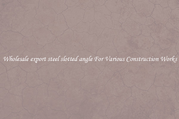 Wholesale export steel slotted angle For Various Construction Works
